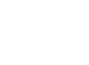 HEROES PROJECT ロゴ